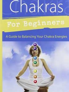 Chakras For Beginners By David Pond