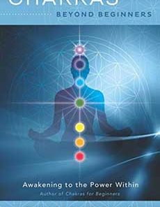 Chakras Beyond Beginners By David Pond