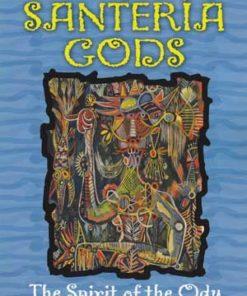 Teachings Of The Santeria Gods By Ocha'ni Lele