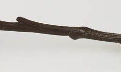 Antigued Branch Candle Snuffer