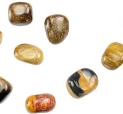 1 Lb Petrified Wood Tumbled Stones