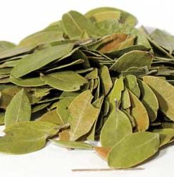 Bearberry Mexican Whole 1oz (uva Ursi)