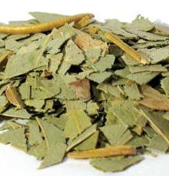 Eucalyptus Cut 1oz  (eucalyptus Globulus)
