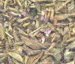 Pennyroyal Leaf Cut 1oz (mentha Pulegium)