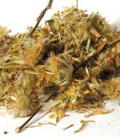 Arnica Whole 2oz (arnica)
