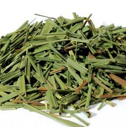 Lemongrass Cut 2oz  (cymbopogon Citratus)