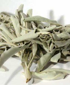 1 Lb White Sage