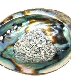 3" - 4" Abalone Shell Incense Burner