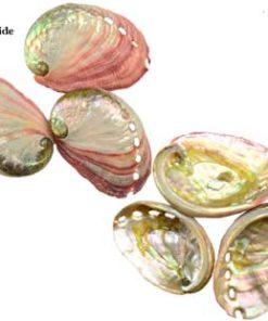 2" - 3" Abalone Shell Incense Burner