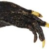Alligator Claw