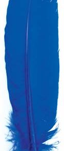 Blue Feather 12"