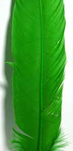Green Feather 12"