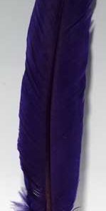 Purple Feather 12"