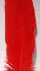 Red Feather 12"