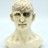 6" Phrenology Head