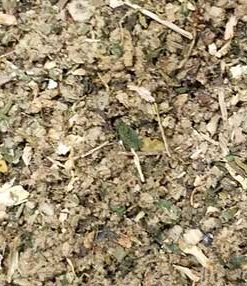 Protection Spell Mix