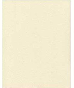 Heavy Parchment 250 Pack 8 1-2 X 11