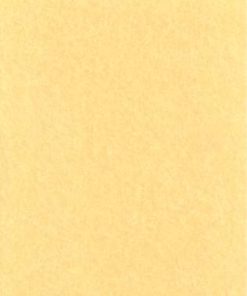 Light Parchment 5 Pack (8 1-2" X 11")