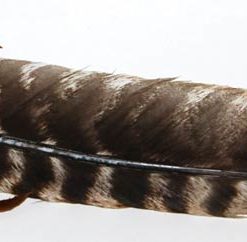 Leather Wrapped Smudging Feather 12"