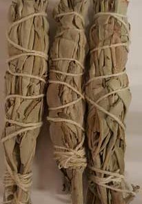 White Sage Smudge Stick 3pk 3 1-2"