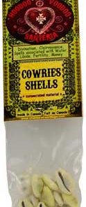 Cowries Shells (coquilles Cauries)