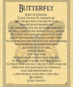 Butterfly Prayer Poster