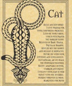 Cat Prayer Poster