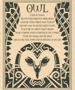 Owl Poster