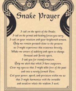 Snake Prayer Poster