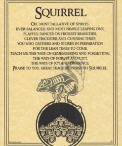 Squirrel Prayer Poster