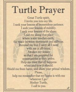 Turtle Prayer Poster